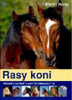 Haller, Martin Rasy koni