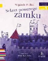 Widłak, Wojciech Sekret ponurego zamku