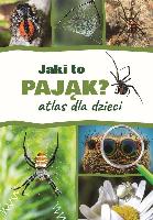 Twardowski, Jacek Jaki to pająk