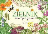 Garbarczyk, Henryk Zielnik. Zioła łąk i ogrodów