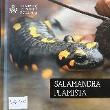 Nowakowska, Marzenna Salamandra plamista