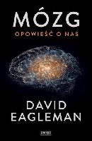 EAGLEMAN, David (1971- ) Mózg