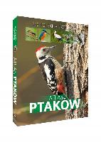 Marchowski, Dominik Atlas ptaków