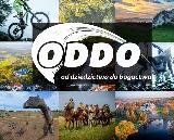  ODDO