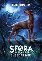Hunter, Erin W Głęboka noc