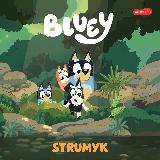  Strumyk