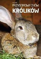 Stern-Les Landes, Alice Przydomowy chów królików