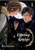 Miyamoto, Kano (1970- ) Uśpiony księżyc