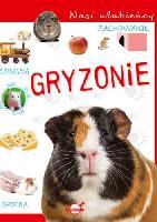 Tomas, Justyna Gryzonie