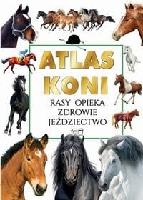 Werner, Joanna Atlas koni